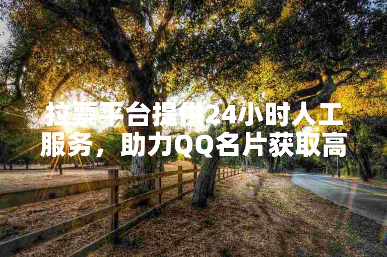 拉票平台提供24小时人工服务，助力QQ名片获取高曝光。