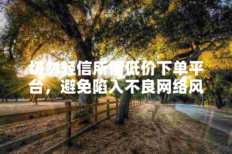切勿轻信所谓低价下单平台，避免陷入不良网络风险。
