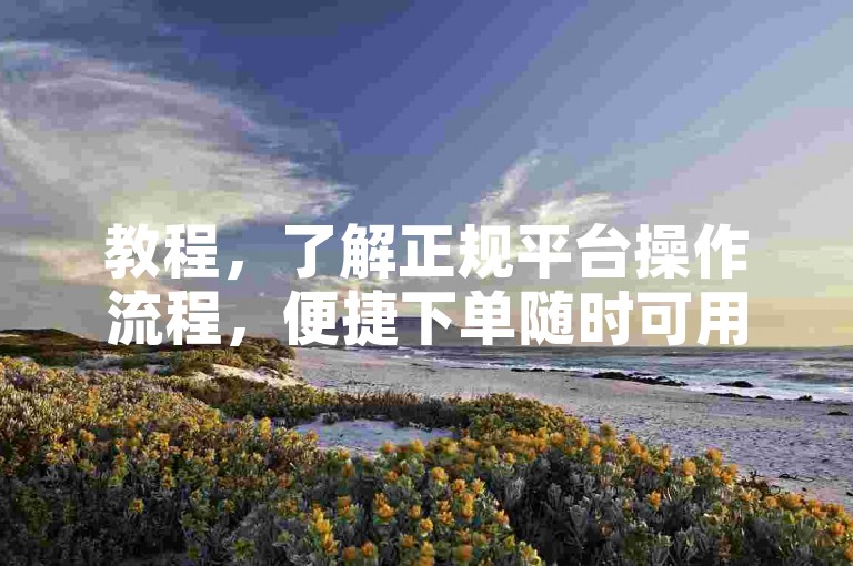 教程，了解正规平台操作流程，便捷下单随时可用。