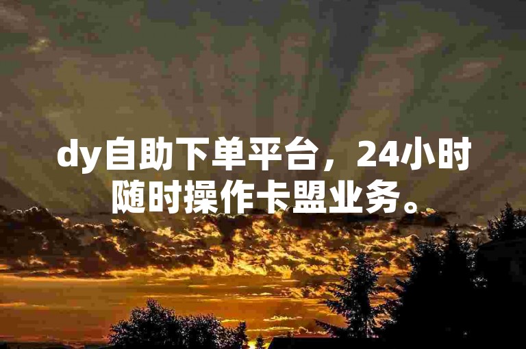 dy自助下单平台，24小时随时操作卡盟业务。