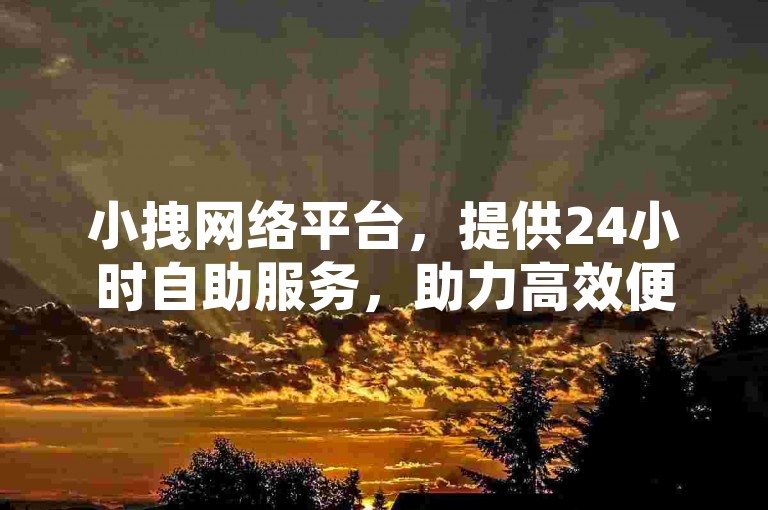 小拽网络平台，提供24小时自助服务，助力高效便捷下单。