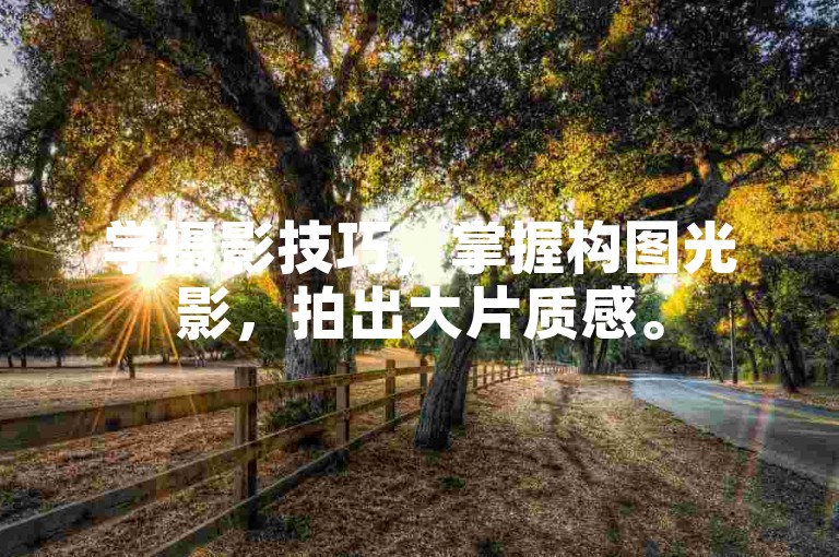 学摄影技巧，掌握构图光影，拍出大片质感。