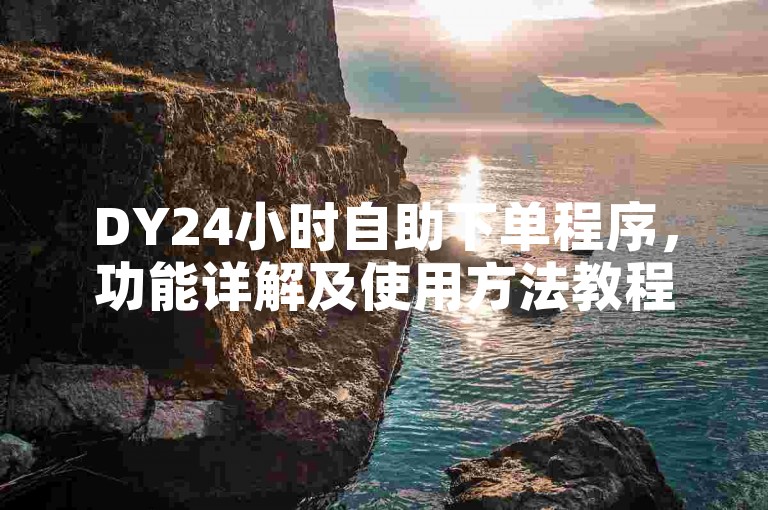 DY24小时自助下单程序，功能详解及使用方法教程