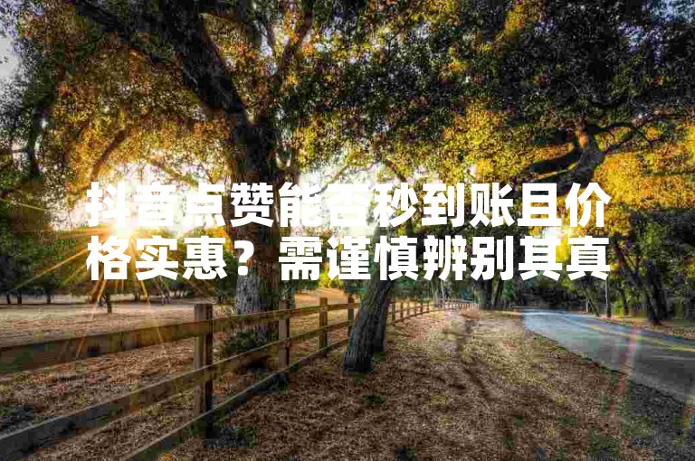 抖音点赞能否秒到账且价格实惠？需谨慎辨别其真实性。