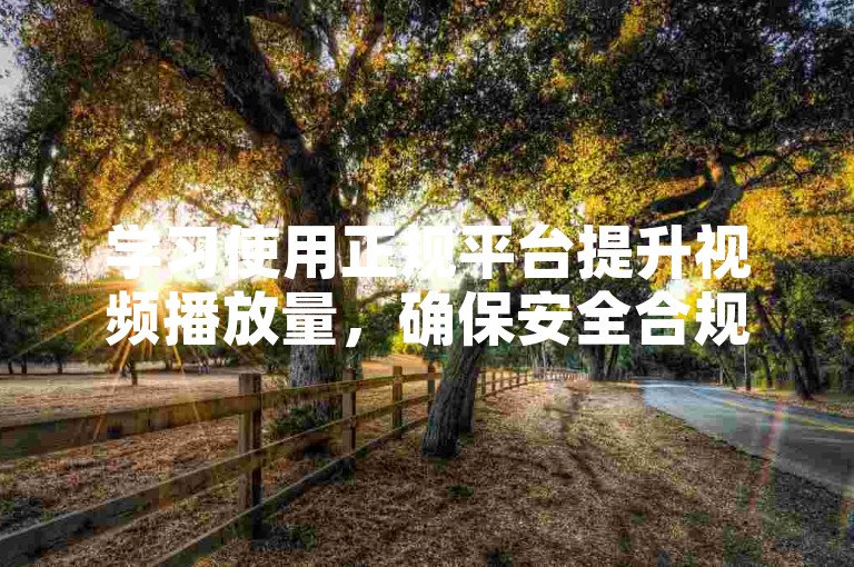 学习使用正规平台提升视频播放量，确保安全合规。