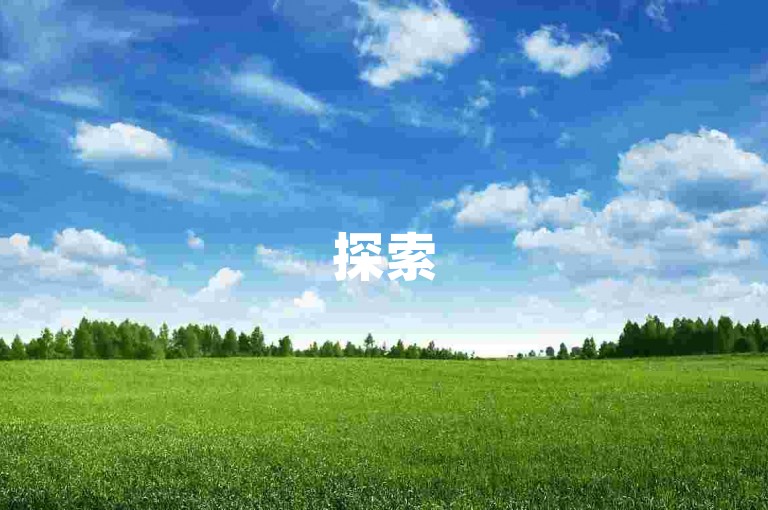 探索520代网站，畅享便捷自助低价业务服务新体验。