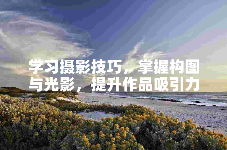 学习摄影技巧，掌握构图与光影，提升作品吸引力。