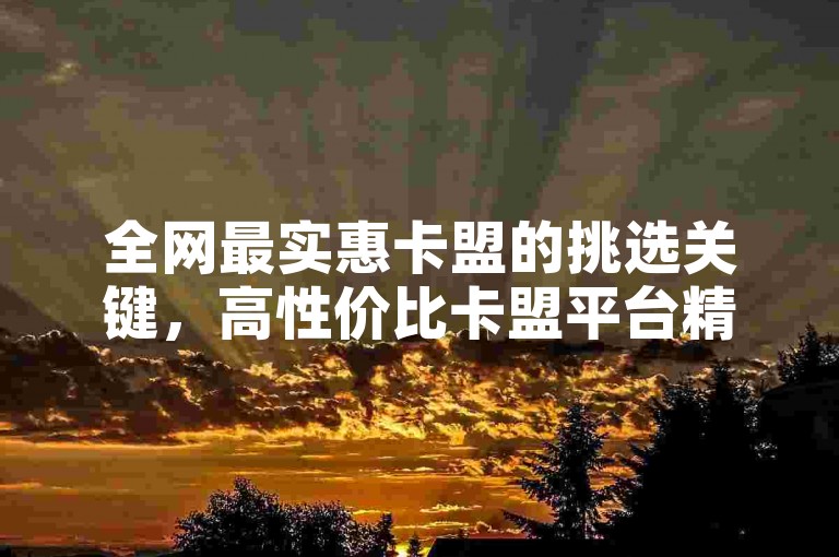 全网最实惠卡盟的挑选关键，高性价比卡盟平台精选！新手必看！