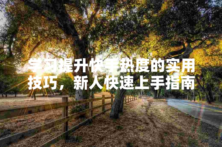学习提升快手热度的实用技巧，新人快速上手指南！