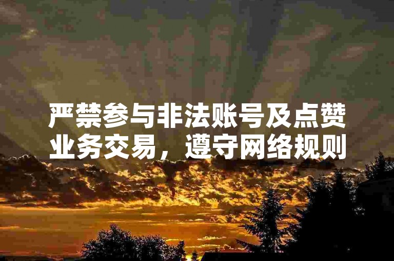 严禁参与非法账号及点赞业务交易，遵守网络规则。