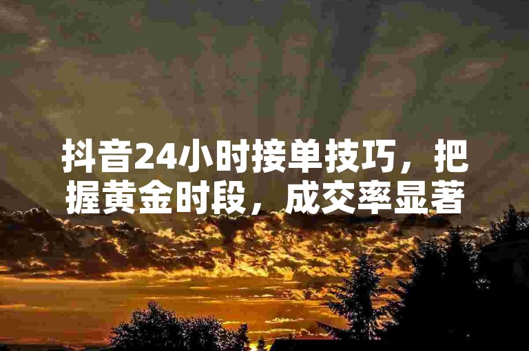 抖音24小时接单技巧，把握黄金时段，成交率显著提升！2025必备技能