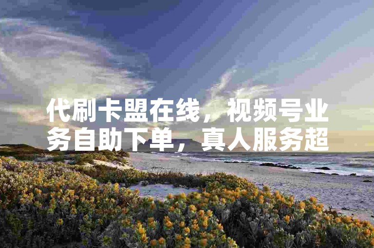 代刷卡盟在线，视频号业务自助下单，真人服务超便捷。