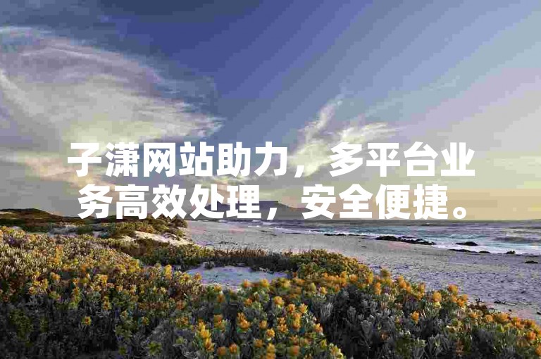 子潇网站助力，多平台业务高效处理，安全便捷。