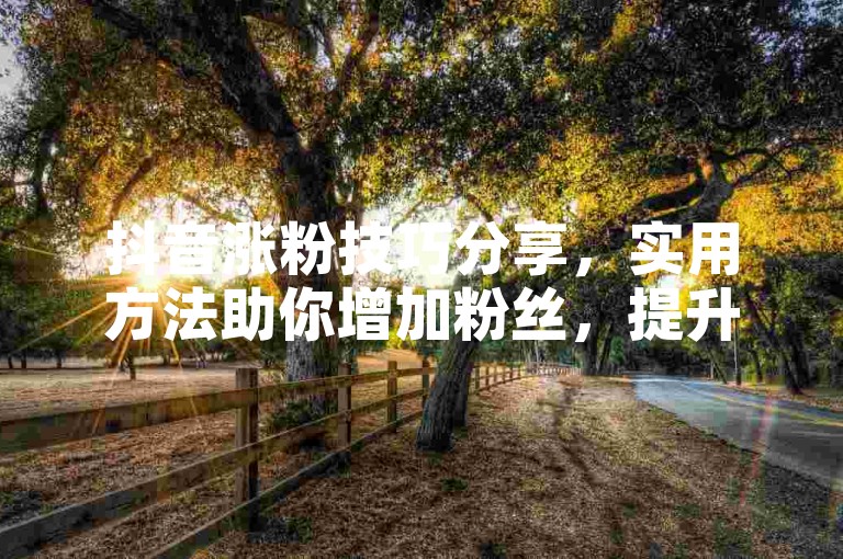 抖音涨粉技巧分享，实用方法助你增加粉丝，提升账号影响力。