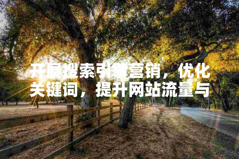 开展搜索引擎营销，优化关键词，提升网站流量与曝光。