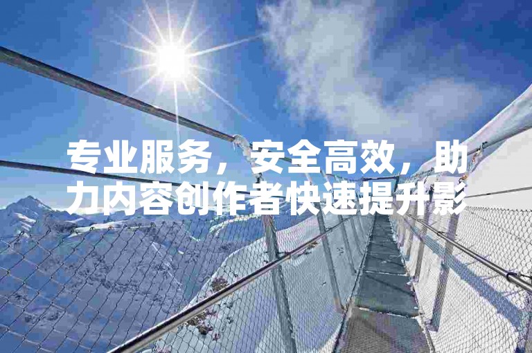 专业服务，安全高效，助力内容创作者快速提升影响力。