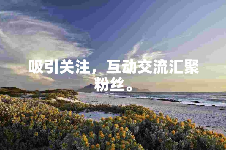 吸引关注，互动交流汇聚粉丝。