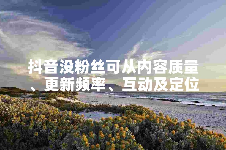 抖音没粉丝可从内容质量、更新频率、互动及定位等方面找原因,拼多多打款到微信需核实平台规则。