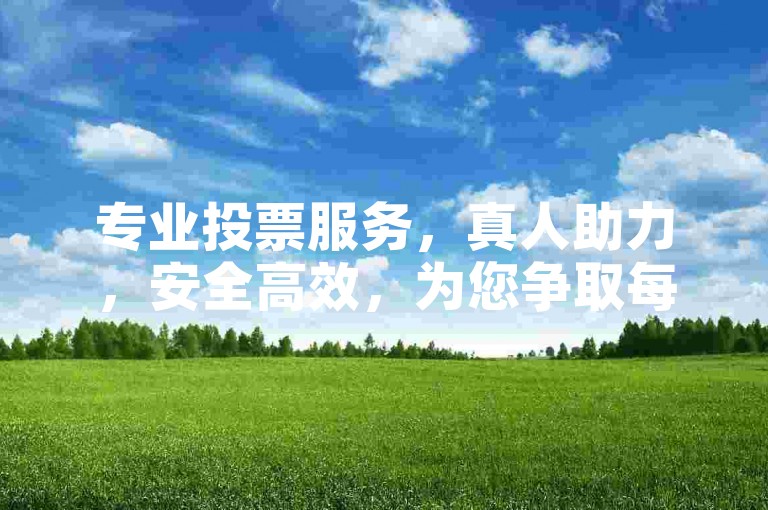 专业投票服务，真人助力，安全高效，为您争取每一票！