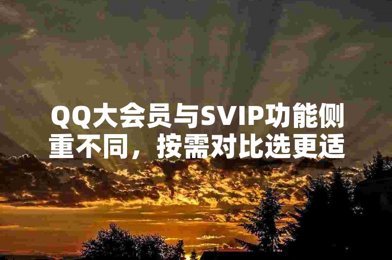 QQ大会员与SVIP功能侧重不同，按需对比选更适合的。