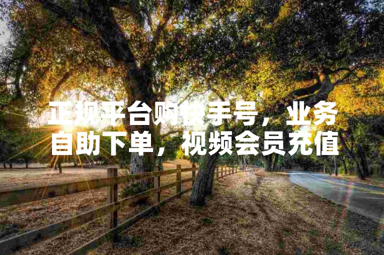 正规平台购快手号，业务自助下单，视频会员充值有妙招。