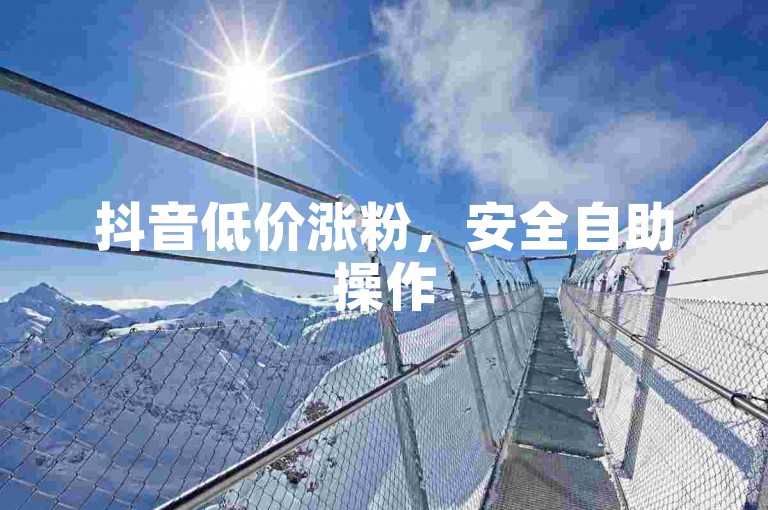 抖音低价涨粉，安全自助操作