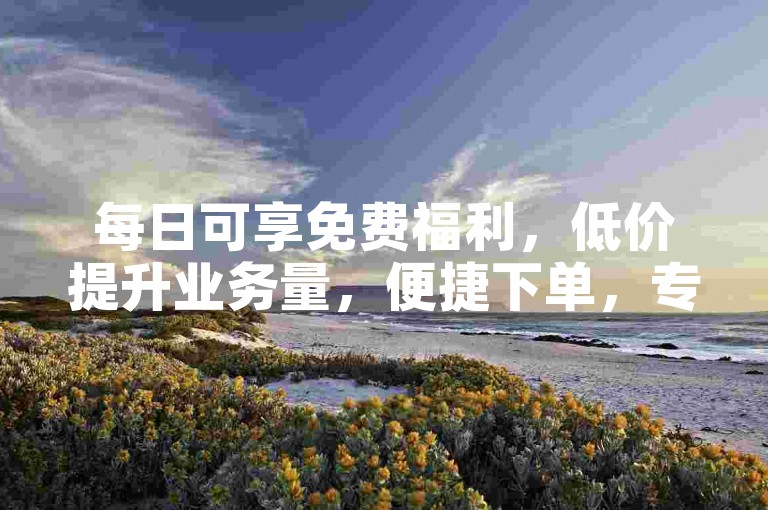 每日可享免费福利，低价提升业务量，便捷下单，专业指导。
