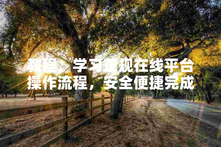 教程，学习正规在线平台操作流程，安全便捷完成各项任务。