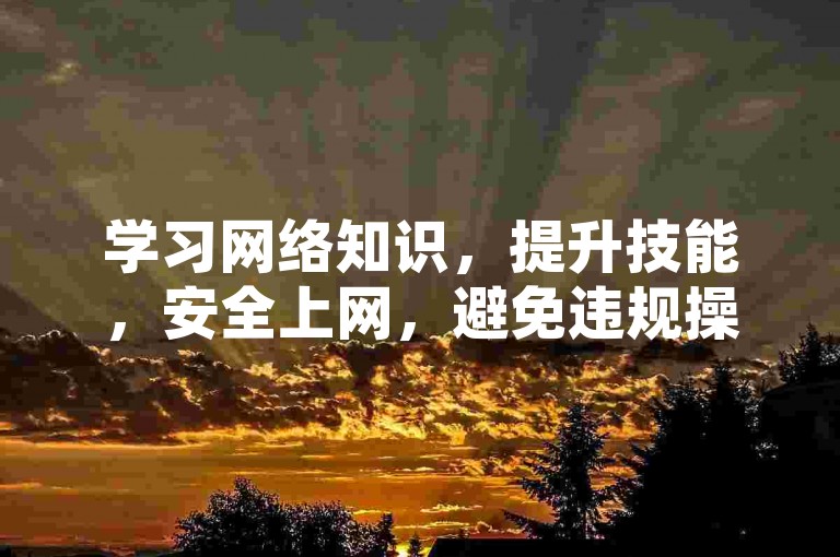 学习网络知识，提升技能，安全上网，避免违规操作。