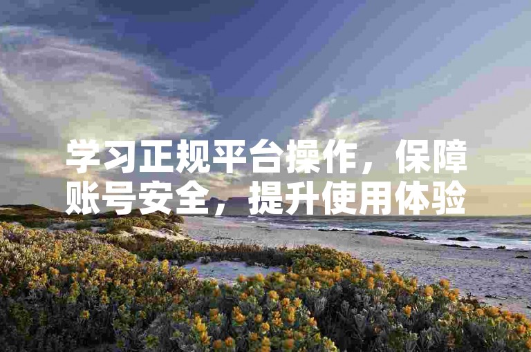 学习正规平台操作，保障账号安全，提升使用体验。