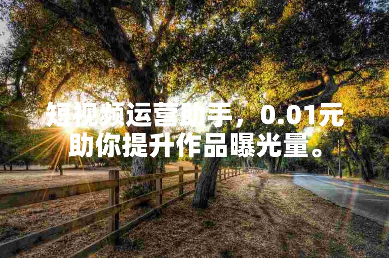 短视频运营助手，0.01元助你提升作品曝光量。
