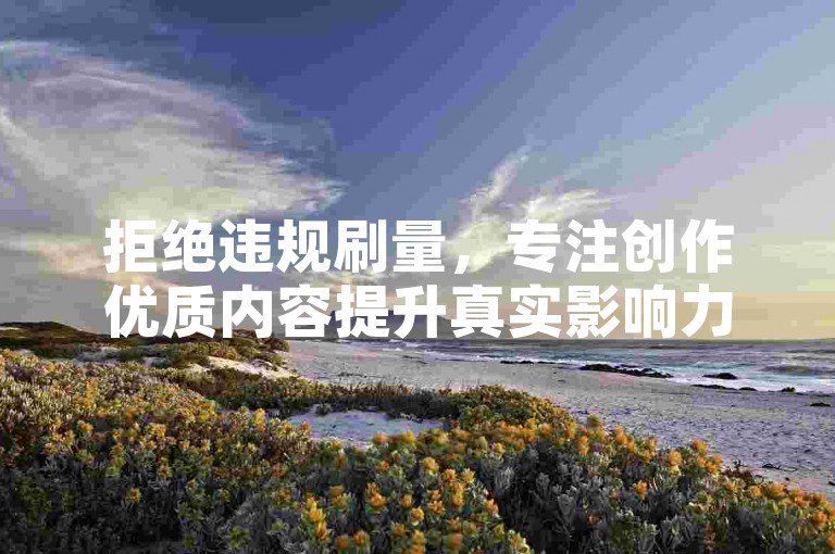拒绝违规刷量，专注创作优质内容提升真实影响力。