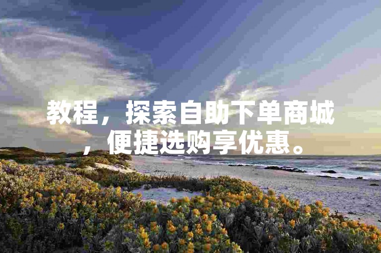 教程，探索自助下单商城，便捷选购享优惠。