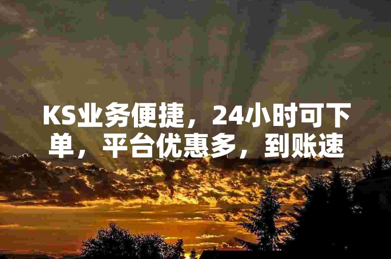 KS业务便捷，24小时可下单，平台优惠多，到账速度快。