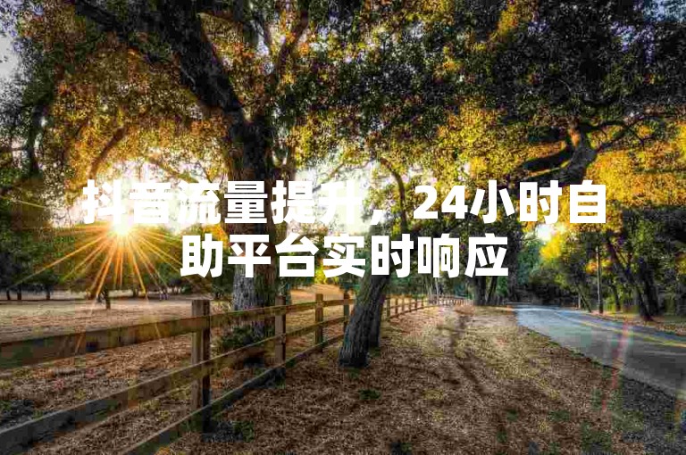 抖音流量提升，24小时自助平台实时响应