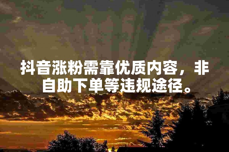 抖音涨粉需靠优质内容，非自助下单等违规途径。