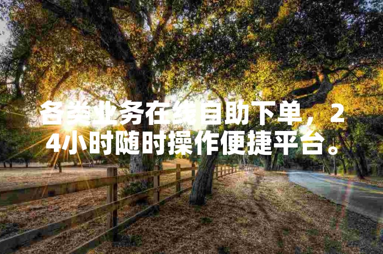 各类业务在线自助下单，24小时随时操作便捷平台。