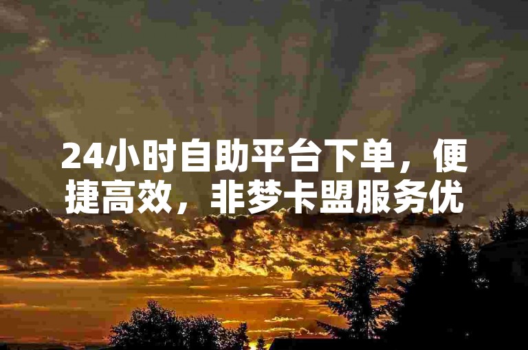 24小时自助平台下单，便捷高效，非梦卡盟服务优。