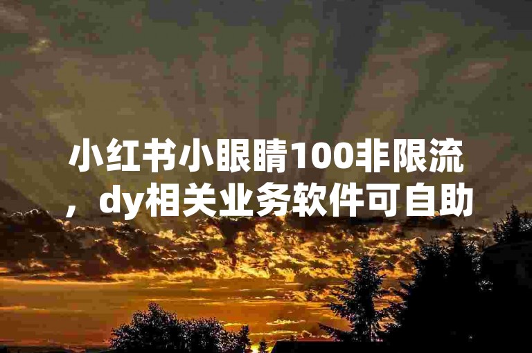 小红书小眼睛100非限流，dy相关业务软件可自助下单。
