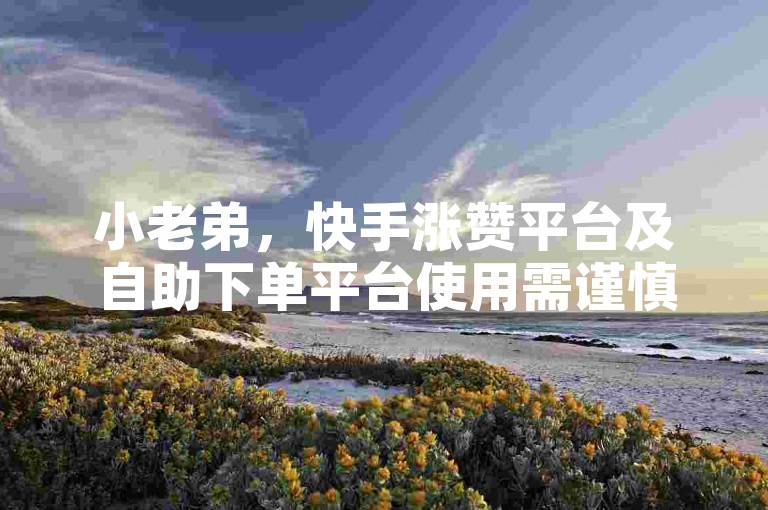 小老弟，快手涨赞平台及自助下单平台使用需谨慎。