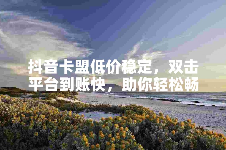 抖音卡盟低价稳定，双击平台到账快，助你轻松畅享服务。