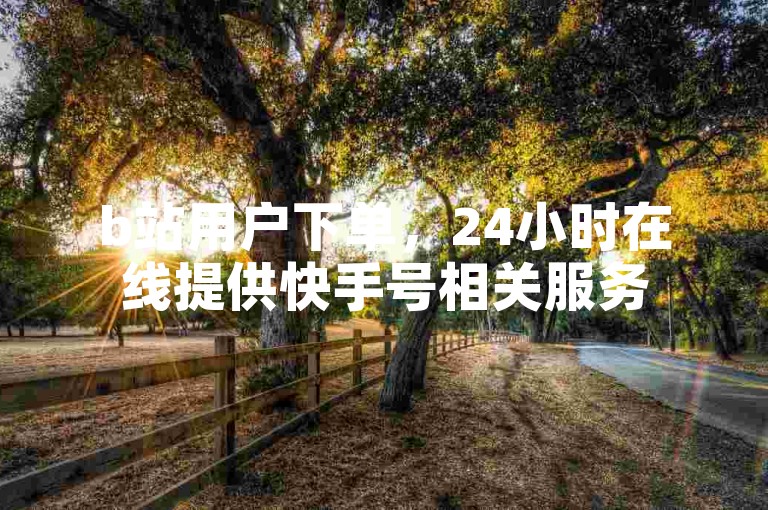 b站用户下单，24小时在线提供快手号相关服务