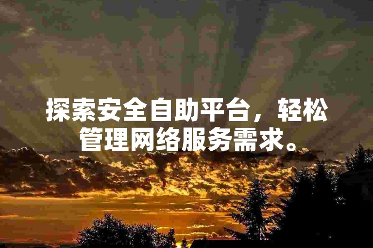 探索安全自助平台，轻松管理网络服务需求。