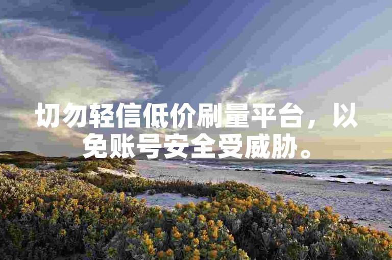 切勿轻信低价刷量平台，以免账号安全受威胁。