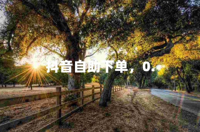 抖音自助下单，0.5元1000赞，全网最低价。