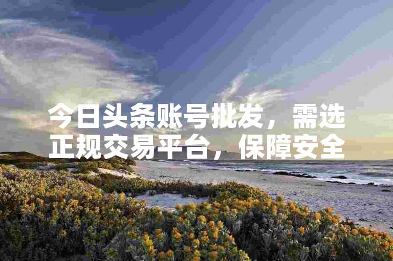 今日头条账号批发，需选正规交易平台，保障安全与合规。