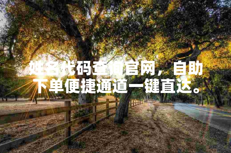 姓名代码查询官网，自助下单便捷通道一键直达。
