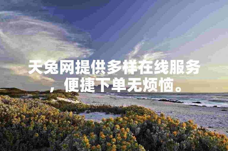 天兔网提供多样在线服务，便捷下单无烦恼。