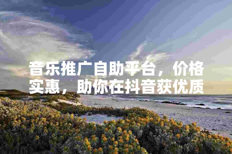音乐推广自助平台，价格实惠，助你在抖音获优质评论。