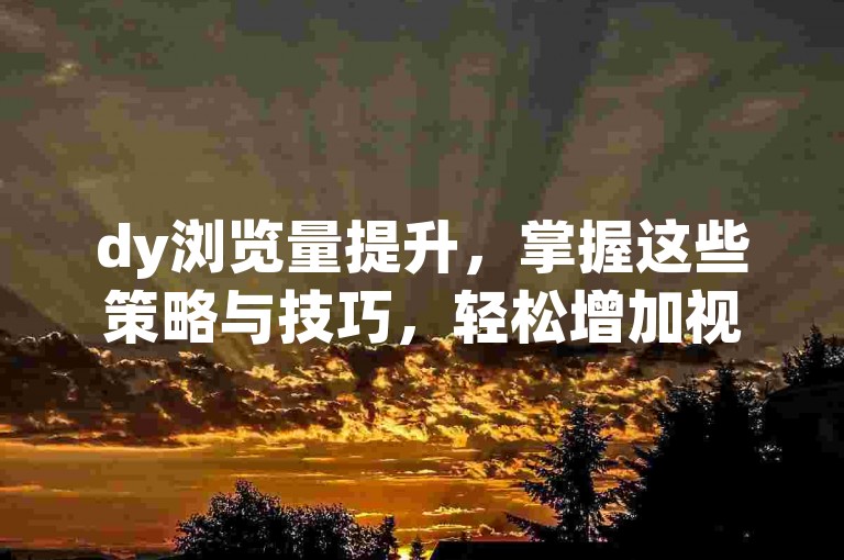 dy浏览量提升，掌握这些策略与技巧，轻松增加视频曝光度！